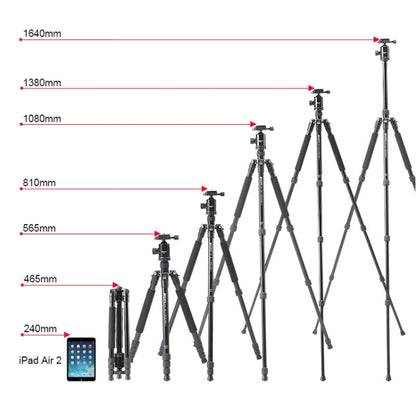 TRIOPO M2508 Multifunction Adjustable 4-Section Portable Aluminum Alloy Tripod Monopod with D-2A Ball Head for SLR Camera - Tripods by TRIOPO | Online Shopping UK | buy2fix