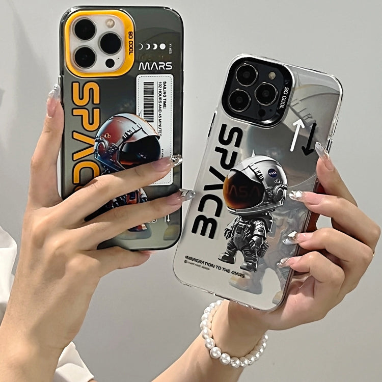 For iPhone 15 Pro Max Astronaut Pattern PC Phone Case(Gray Panda) - iPhone 15 Pro Max Cases by buy2fix | Online Shopping UK | buy2fix