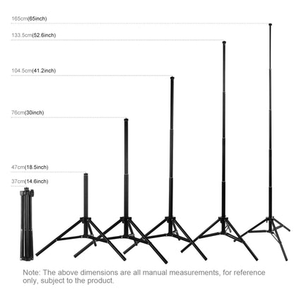 PULUZ 1.65m Height Tripod Mount Holder for Vlogging Video Light  Live Broadcast Kits(Black) - Tripods by PULUZ | Online Shopping UK | buy2fix