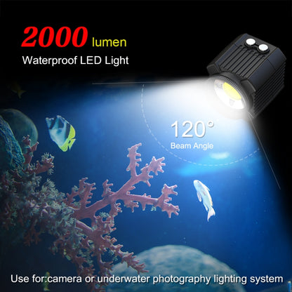 PULUZ 60m Underwater LED Photography Fill Light 7.4V/1100mAh Diving Light for GoPro, Insta360, DJI and Other Action Cameras(Black) - Waterproof Light by PULUZ | Online Shopping UK | buy2fix