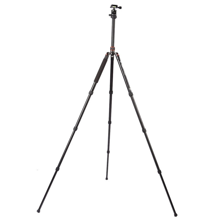 Triopo MT-2504C Adjustable Portable Aluminum Tripod with NB-1S Ball Head for Canon Nikon Sony DSLR Camera(Black) - Camera Accessories by TRIOPO | Online Shopping UK | buy2fix