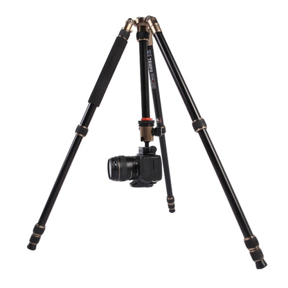 Triopo MT-2504C Adjustable Portable Aluminum Tripod (Gold) with NB-1S Ball Head (Black) for Canon Nikon Sony DSLR Camera - Camera Accessories by TRIOPO | Online Shopping UK | buy2fix