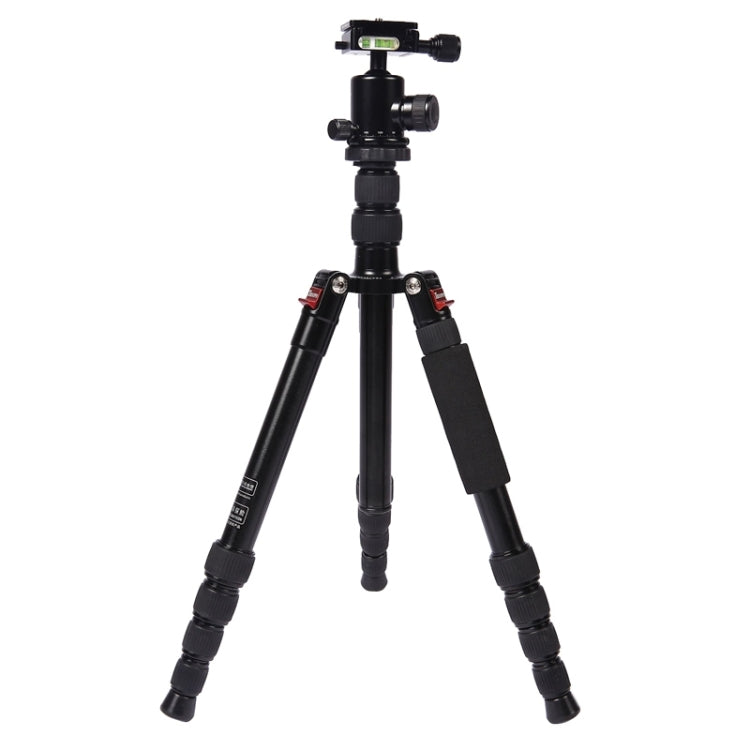 Triopo MT-2505C Adjustable Portable Aluminum Tripod (Gold) with NB-1S Ball Head (Black) for Canon Nikon Sony DSLR Camera - Camera Accessories by TRIOPO | Online Shopping UK | buy2fix