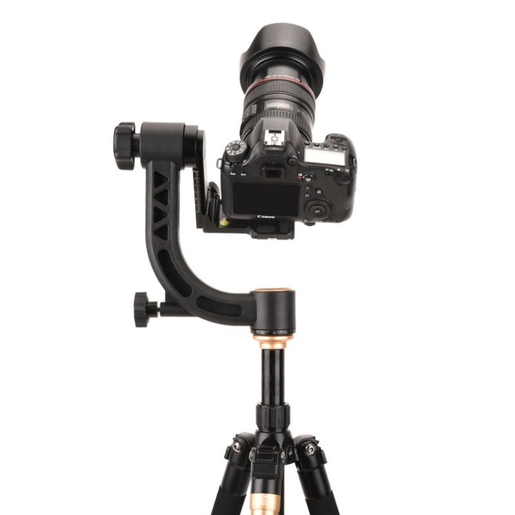 QingZhuangShiDai Q35 SLR Camera Telephoto Lens Bird Watching Tripod Head(Gold) - Tripod Heads by QingZhuangShiDai | Online Shopping UK | buy2fix