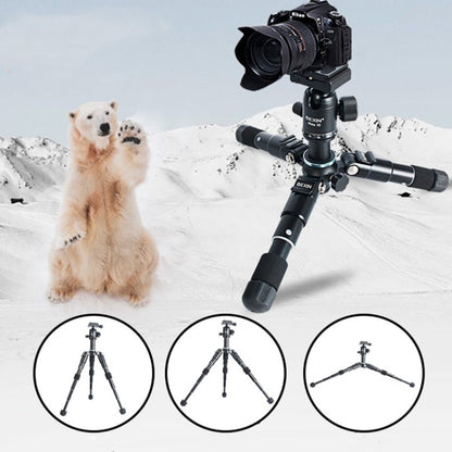 BEXIN Mate 10 Mobile Phone Camera Desktop Aluminum Alloy Tripod Mount Live Broadcast Selfie Stick Tripod - Camera Accessories by BEXIN | Online Shopping UK | buy2fix